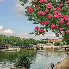 شایان میدونی اون فقط میاد به من چقدر لباشو میخواد دلم
